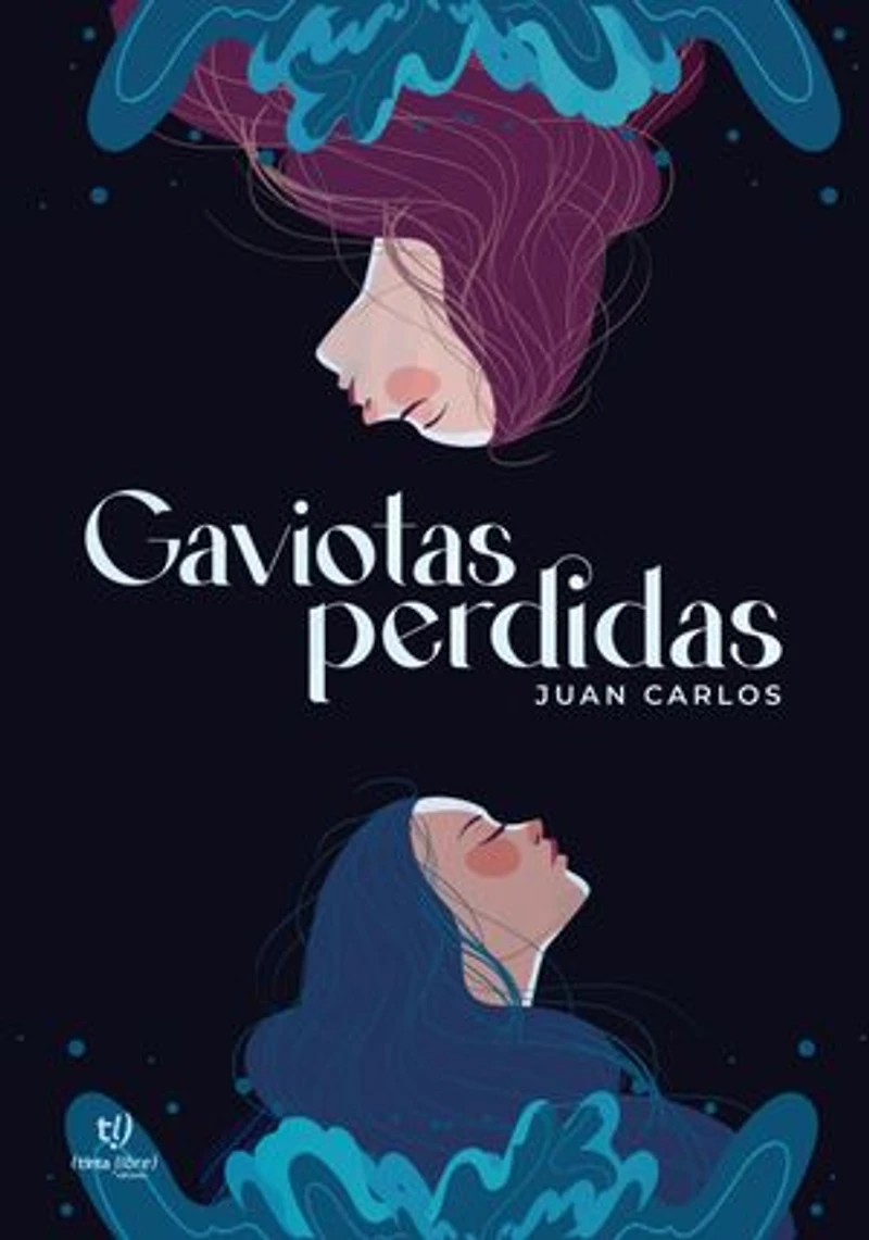 Gaviotas perdidas