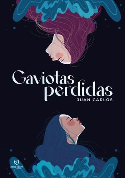 Gaviotas perdidas