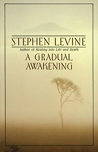 A Gradual Awakening