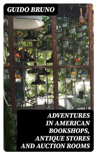 Adventures in American Bookshops, Antique Stores and Auction Rooms: Enriched edition.