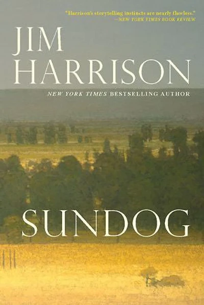 Sundog