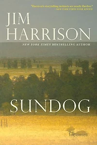 Sundog