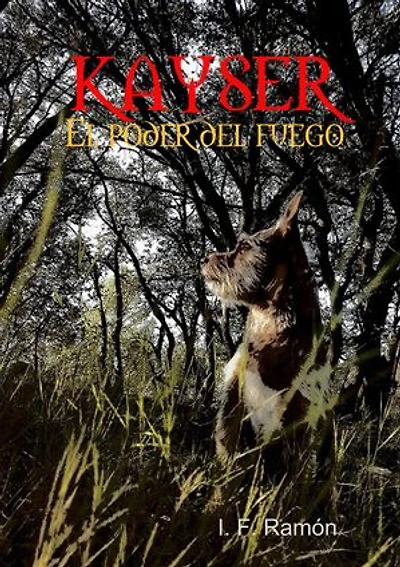 Kayser: El poder del fuego