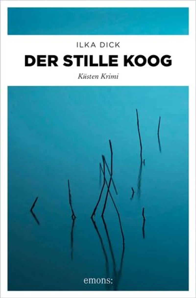 Der stille Koog: Küsten Krimi