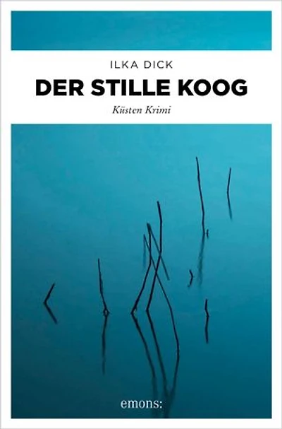 Der stille Koog: Küsten Krimi