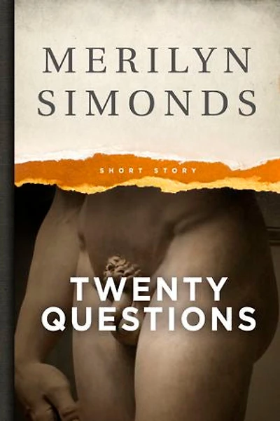 Twenty Questions (Eight, really. It's Never as Long as You Think): A Short Story
