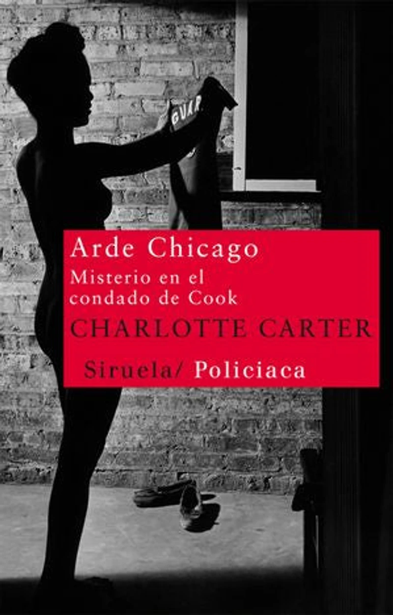 Arde Chicago: Misterio en el condado de Cook