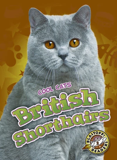 British Shorthairs
