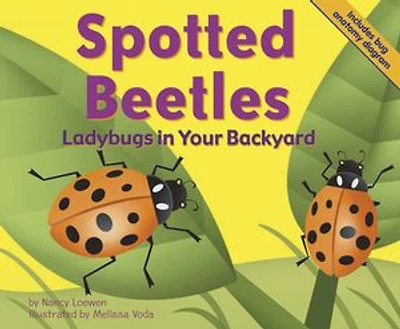 Spotted Beetles: Ladybugs in Your Backyard