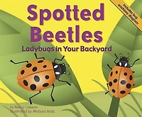 Spotted Beetles: Ladybugs in Your Backyard