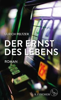 Der Ernst des Lebens: Roman