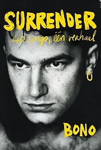Surrender: 40 songs, één verhaal