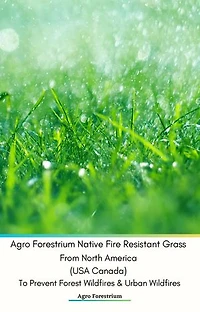 Agro Forestrium Native Fire Resistant Grass From North America (USA Canada) To Prevent Forest Wildfires & Urban Wildfires