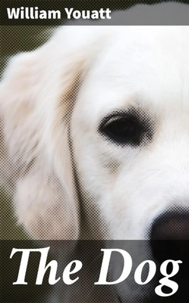 The Dog: Exploring Canine History, Behavior, and Care in 19th-Century Natural History