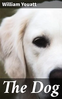 The Dog: Exploring Canine History, Behavior, and Care in 19th-Century Natural History