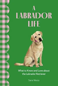 A Labrador Life: What to Know and Love About the Retriever