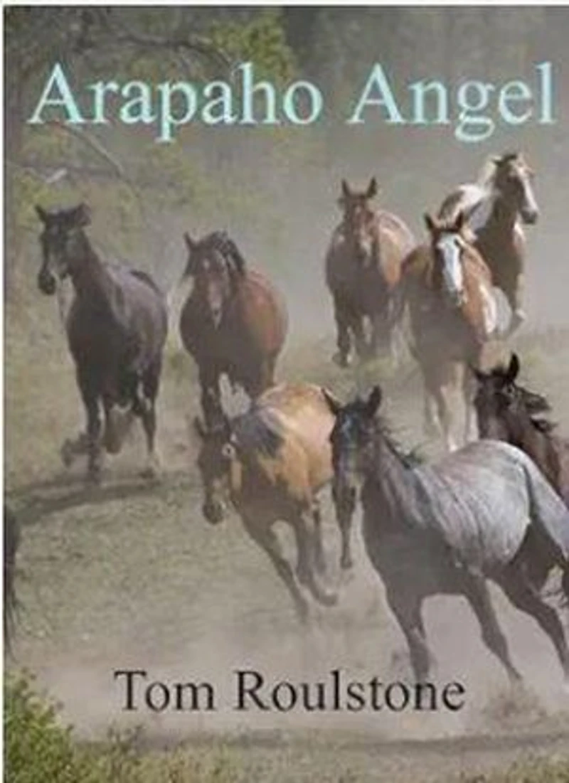 Arapaho Angel: Cheyenne Springs, #7