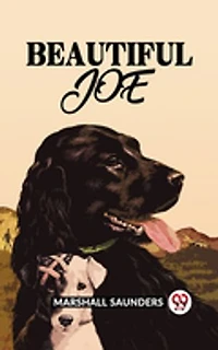 BEAUTIFUL JOE