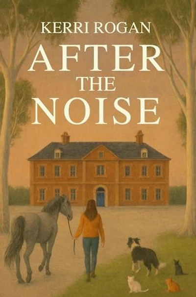 After the Noise
