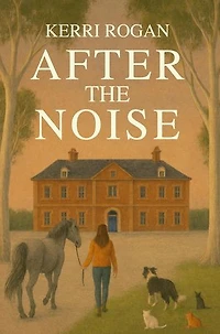 After the Noise