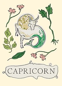 Capricorn