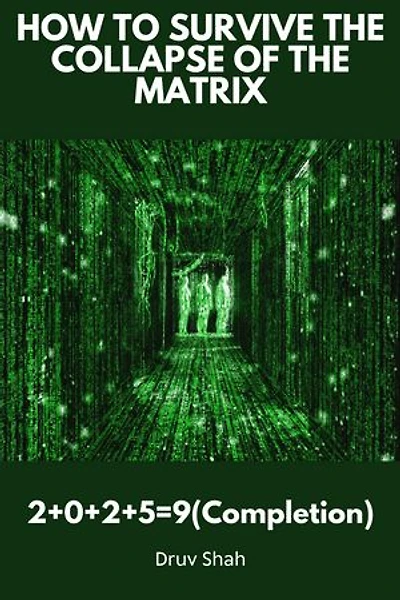 How to Survive the Collapse of the Matrix: 2+0+2+5=9(Completion)