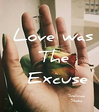 Love Was the Excuse