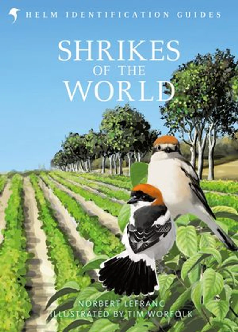 Shrikes OF THE World: BB/BTO BIRD BOOK YEAR