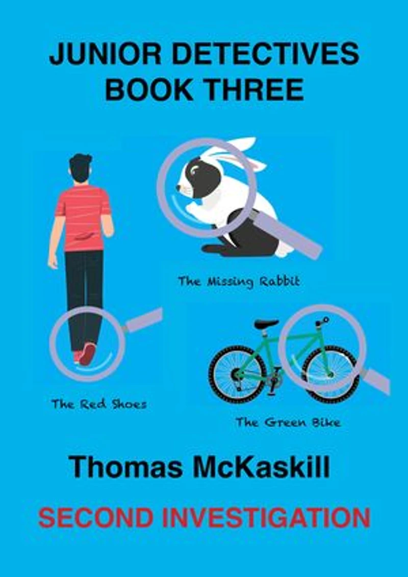 Junior Detectives Book Three: Second Investigation