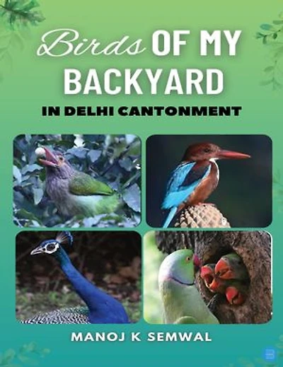 Birds of My Backyard in Delhi Cantonment