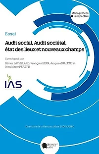 Audit social, Audit sociétal, état des lieux et nouveaux champs