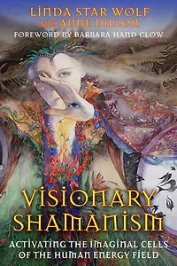 Visionary Shamanism: Activating the Imaginal Cells of Human Energy Field