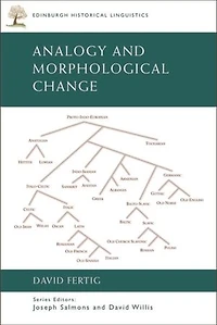 Analogy and Morphological Change