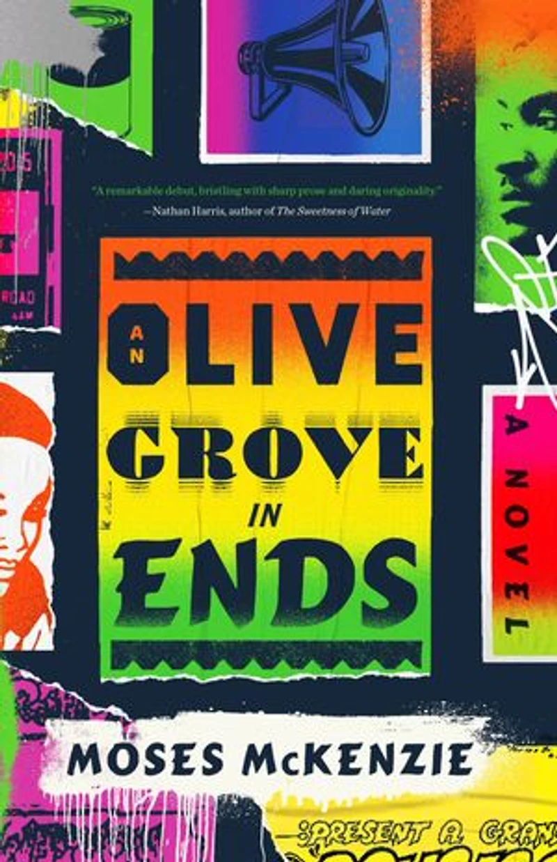 An Olive Grove Ends: A Novel