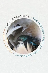 White Feathers: The Nesting Lives Of Tree Swallows