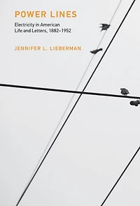 Power Lines: Electricity American Life And Letters, 1882-1952