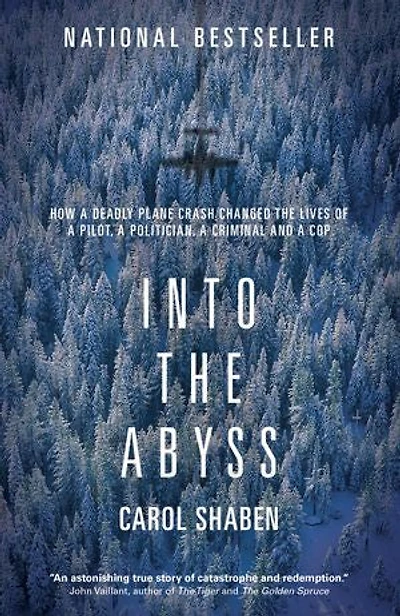Into the Abyss: How a Deadly Plane Crash Changed Lives of Pilot, Politician, Criminal and Cop