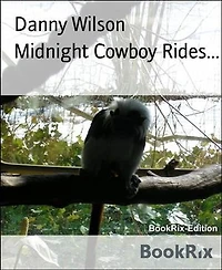 Midnight Cowboy Rides...
