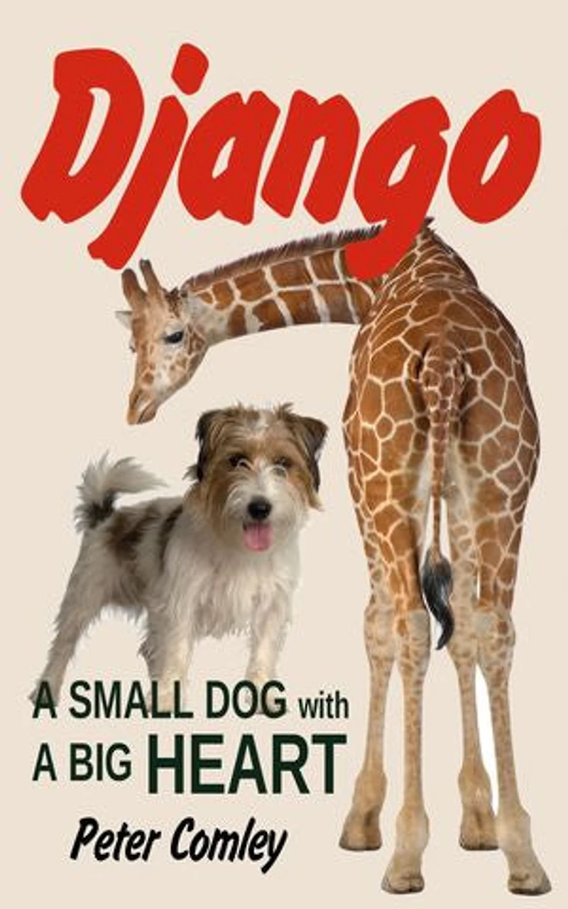 Django: A Small Dog with a Big Heart