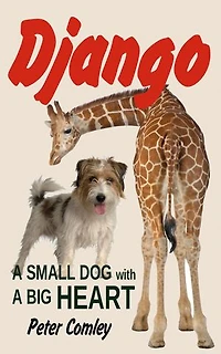 Django: A Small Dog with a Big Heart