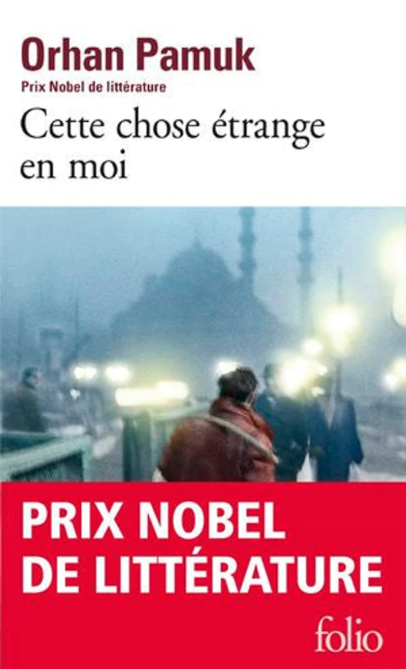 Cette chose étrange en moi: la vie, les aventures, rêves du marchand de boza Mevlut Karatas et l'histoire ses amis, tableau vie à Istanbul entre 1969 2012, vue par yeux nombreux personnages