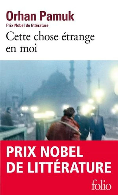 Cette chose étrange en moi: la vie, les aventures, rêves du marchand de boza Mevlut Karatas et l'histoire ses amis, tableau vie à Istanbul entre 1969 2012, vue par yeux nombreux personnages