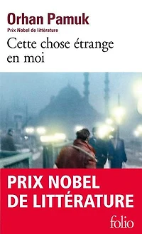 Cette chose étrange en moi: la vie, les aventures, rêves du marchand de boza Mevlut Karatas et l'histoire ses amis, tableau vie à Istanbul entre 1969 2012, vue par yeux nombreux personnages