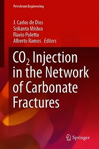 CO2 Injection the Network of Carbonate Fractures