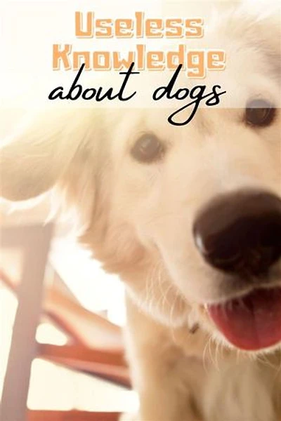 Useless Knowledge about Dogs: Curious facts about dogs - knowledge for children and adults