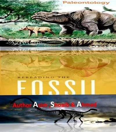 Fossils study phd thesis: Complete phd guide