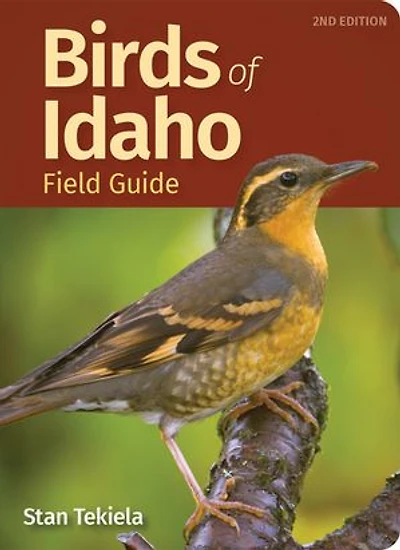 Birds Of Idaho Field Guide