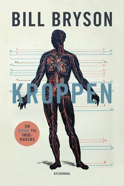 Kroppen: En guide til indehavere