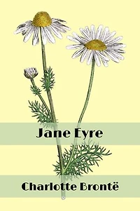 Jane Eyre (Illustrated)