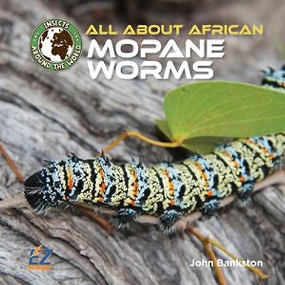 All About African Mopane Worms